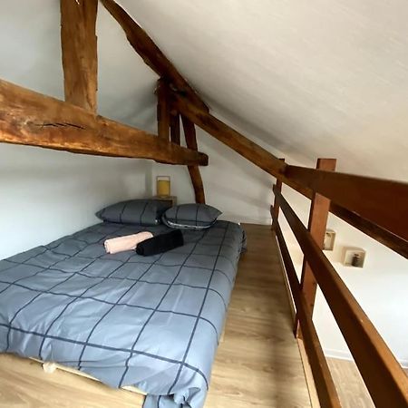 Le Cocon - Appartement En Hyper Centre 블루아 외부 사진
